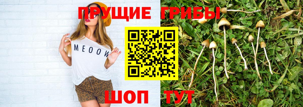 Галлюциногенные грибы мухоморы Пушкино