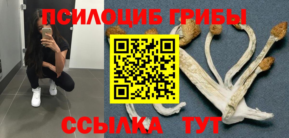 Галлюциногенные грибы GOLDEN TEACHER  Псилоцибиновые грибы MAGIC MUSHROOMS  Пушкино  Вход с VPN 